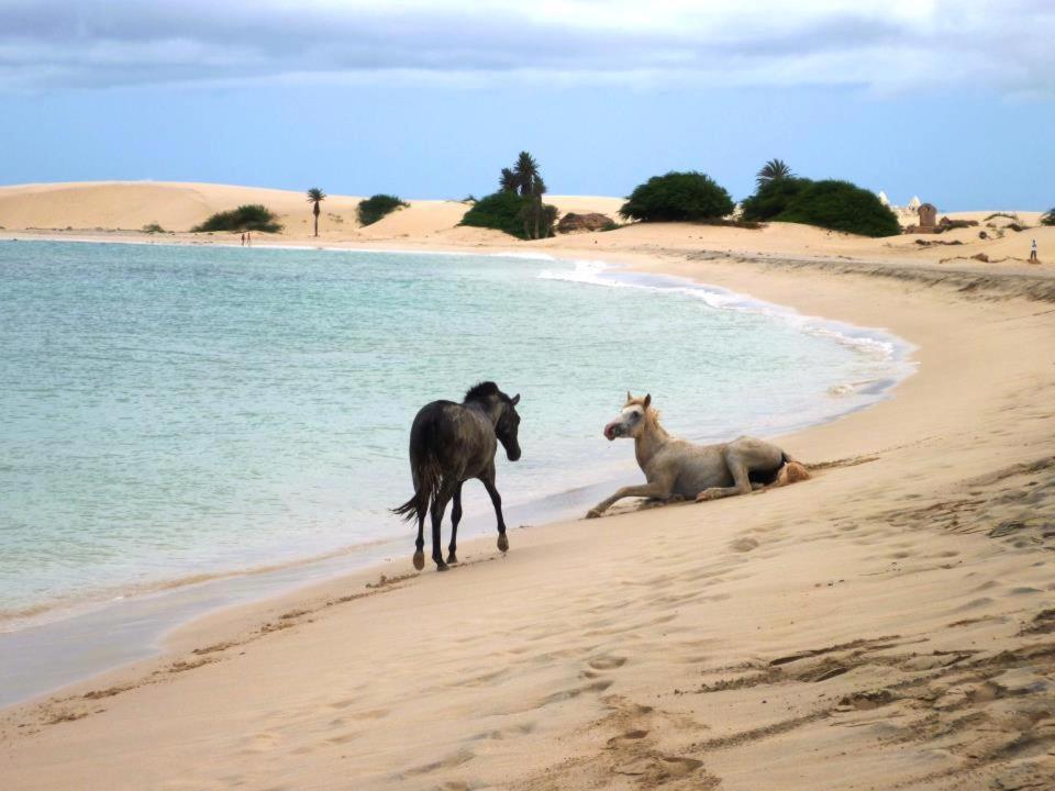 Vilas Praia De Chaves - Sol Y Mar Standart Rabil Luaran gambar